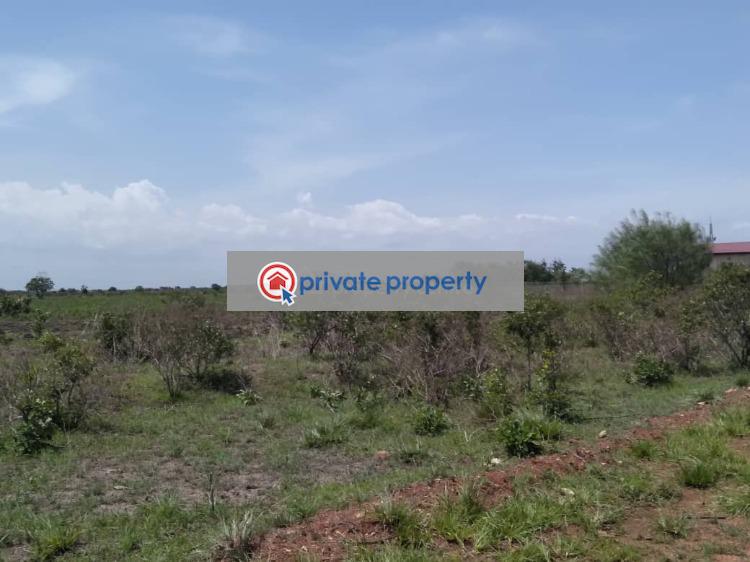 Residential Land For Sale &nbsp;tsopoli Ningo Prampram District Accra - 2