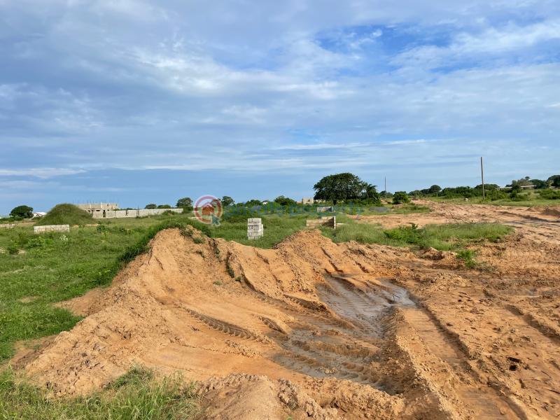 Land For Sale Central University Dawhenya Ningo Prampram District Accra - 2