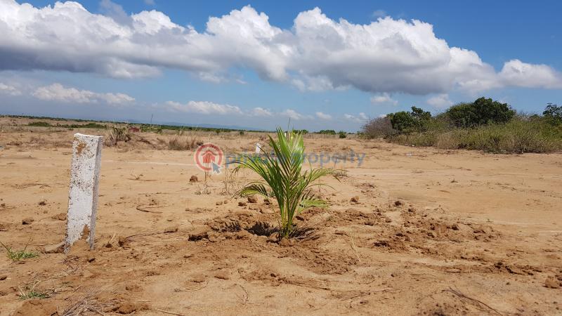 1 bedroom Land For Sale Tsopoli Ningo Prampram District Accra - 2