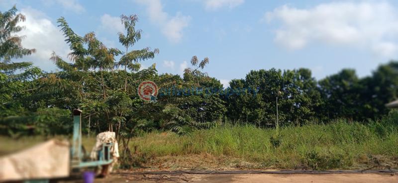 Factory For Sale Sokoban Wood Village Kumasi Metropolitan Ashanti - 7