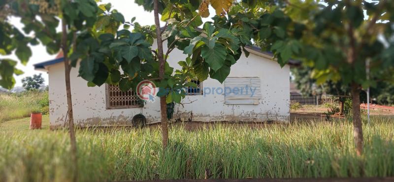 Factory For Sale Sokoban Wood Village Kumasi Metropolitan Ashanti - 9