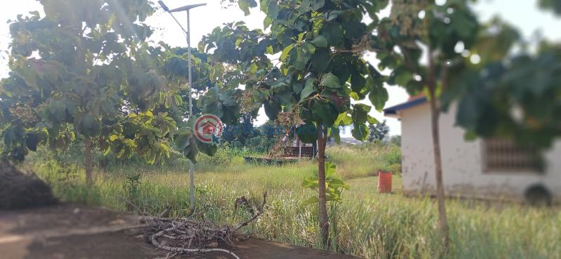 Factory For Sale Sokoban Wood Village Kumasi Metropolitan Ashanti - 10