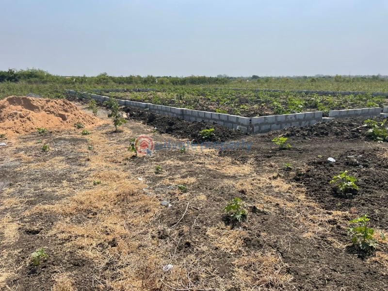 Land For Sale Tsopoli Ningo Prampram District Accra - 2