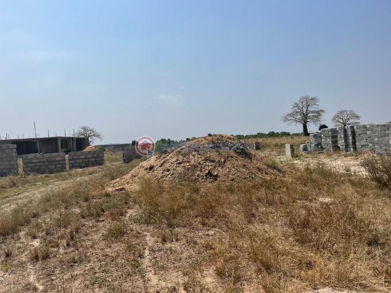 Land For Sale Tsopoli Ningo Prampram District Accra - 1