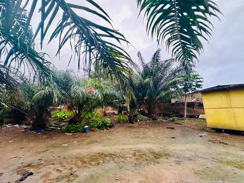 Residential Land For Sale Agbogba North Legon Accra - 4