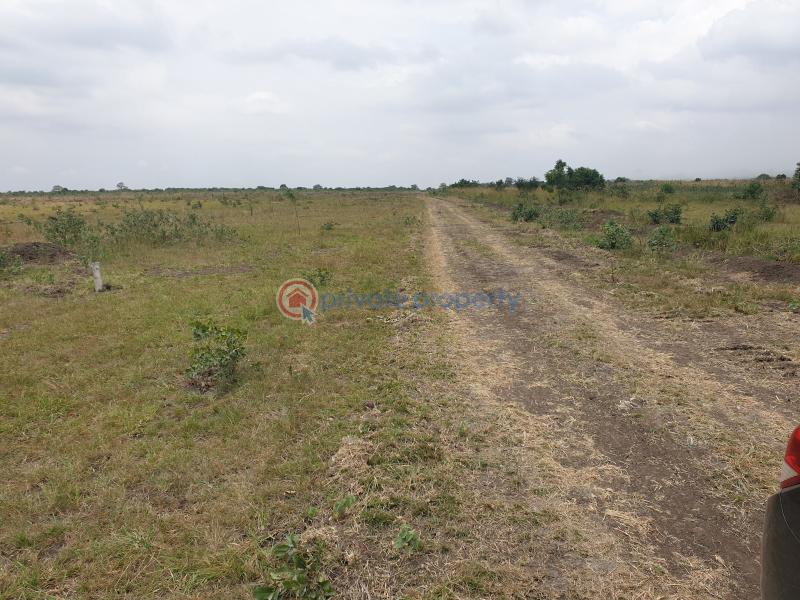 Land For Sale Police Barrier Central University Tsopoli Ningo Prampram District Accra - 3