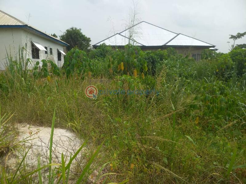 Land For Sale Ejisu, Kumasi Ghana Ejisu Ejisu-Juaben Municipal Ashanti - 2