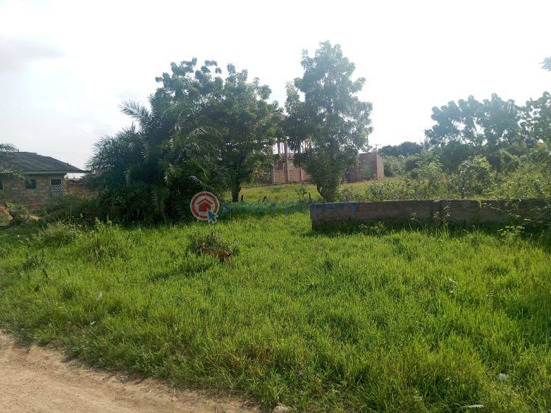 Land For Sale Amasaman Ashalaja Amasaman Ga West Municipal Accra - 3