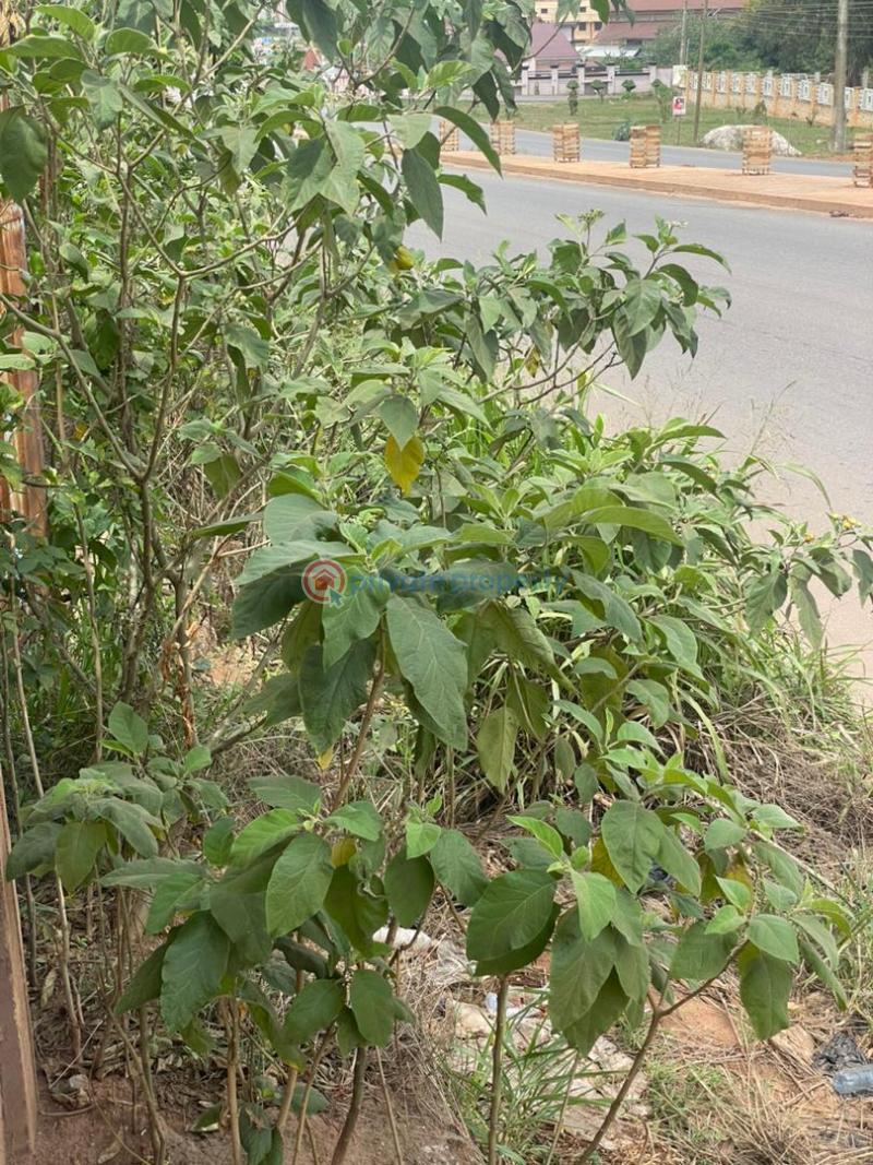 Land For Sale Ahodwo, Kumasi Ghana Ahodwo Kumasi Metropolitan Ashanti - 3