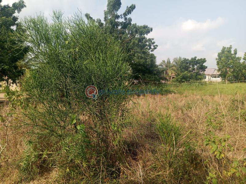 Land For Sale Amasaman Ashalaja Amasaman Ga West Municipal Accra - 5