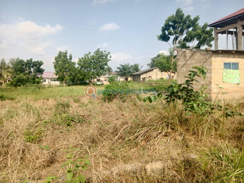 Land For Sale Amasaman Ashalaja Amasaman Ga West Municipal Accra - 0