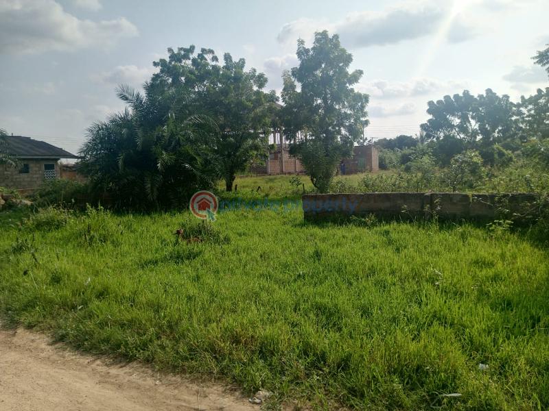 Land For Sale Amasaman Ashalaja Amasaman Ga West Municipal Accra - 4