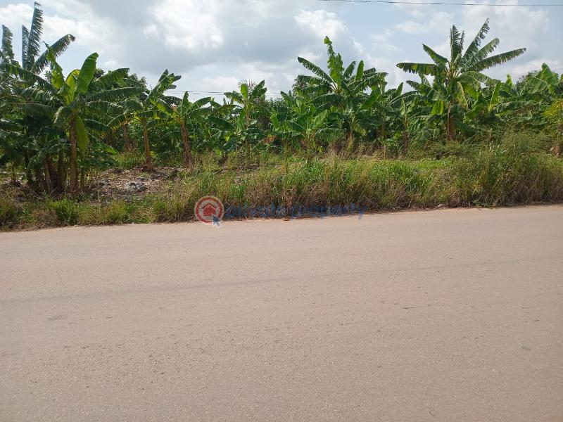 Land For Sale Ejisu, Kumasi Ghana Ejisu Ejisu-Juaben Municipal Ashanti - 1
