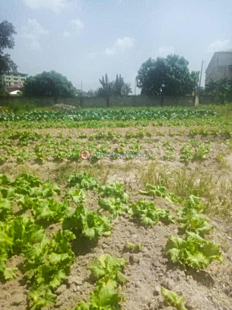 Land For Sale Kumasi Ayeduase Newsite After Ayeduase Knust. Kumasi Metropolitan Ashanti - 3