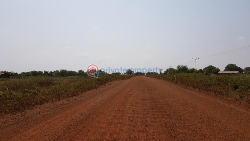 Land For Sale Central University Mini 1 Dawhenya Ningo Prampram District Accra - 1