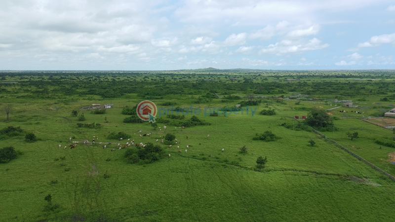 Land For Sale Shai Hills Shai Osudoku Accra - 6