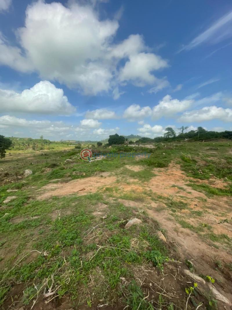 Land For Sale Opposite Kasoa Polyclinic Kasoa Ghana Awutu-Senya East Central Region - 7