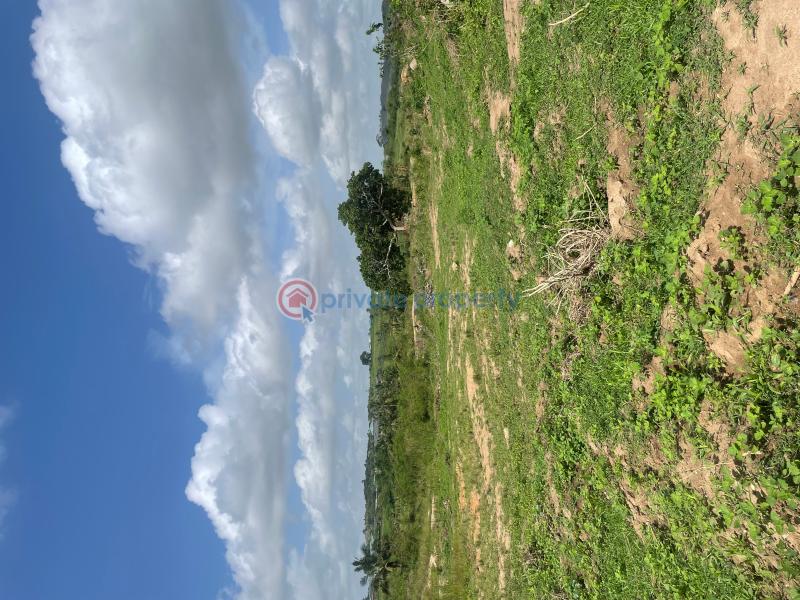 Land For Sale Opposite Kasoa Polyclinic Kasoa Ghana Awutu-Senya East Central Region - 2