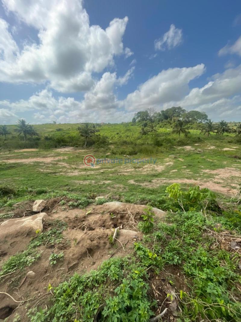 Land For Sale Opposite Kasoa Polyclinic Kasoa Ghana Awutu-Senya East Central Region - 3
