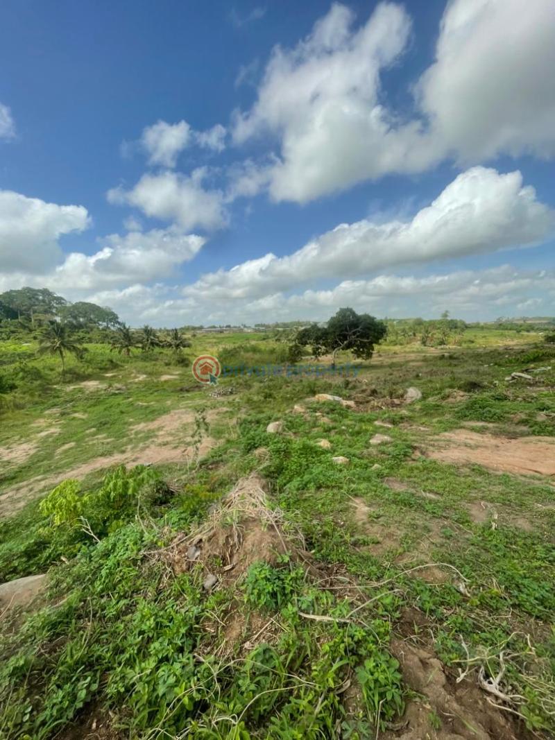 Land For Sale Opposite Kasoa Polyclinic Kasoa Ghana Awutu-Senya East Central Region - 5