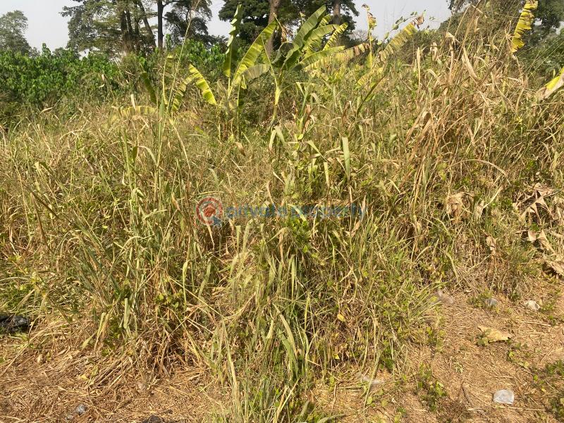 Land For Sale After Santasi Kumasi Metropolitan Ashanti - 1