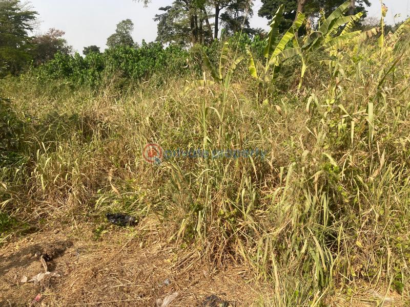 Land For Sale After Santasi Kumasi Metropolitan Ashanti - 0