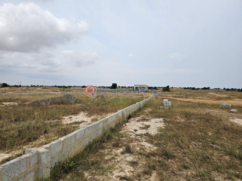 Land For Sale Tsopoli Police Barrier Tsopoli Ningo Prampram District Accra - 1