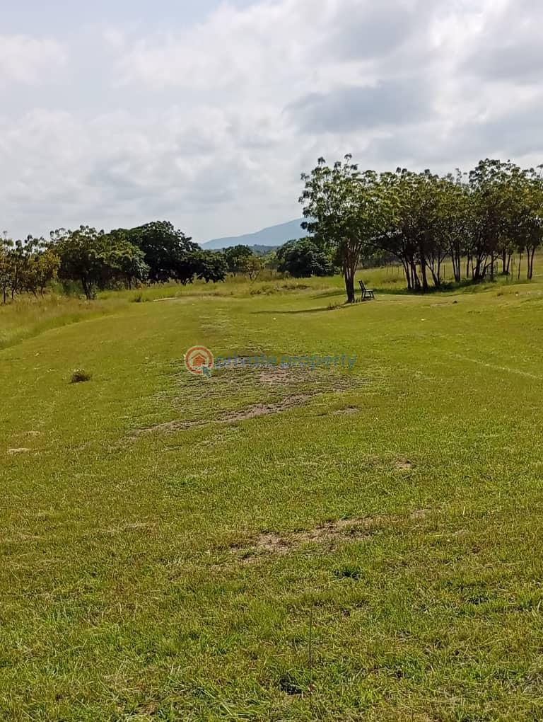 Commercial Land For Sale Kwaminga Amusement Park Yilo Krobo Eastern Region - 4