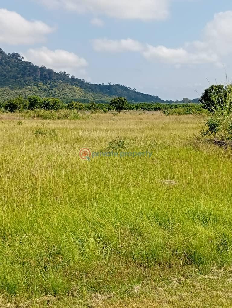 Commercial Land For Sale Kwaminga Amusement Park Yilo Krobo Eastern Region - 0