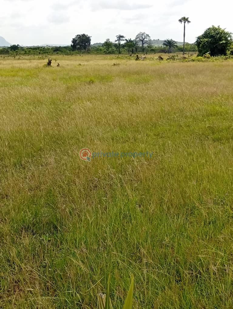 Commercial Land For Sale Kwaminga Amusement Park Yilo Krobo Eastern Region - 5