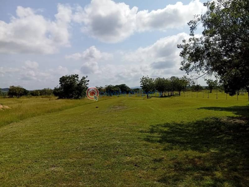 Commercial Land For Sale Kwaminga Amusement Park Yilo Krobo Eastern Region - 6