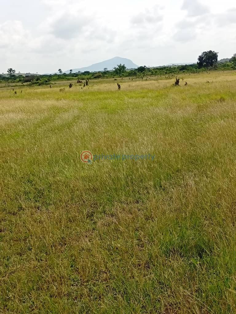 Commercial Land For Sale Kwaminga Amusement Park Yilo Krobo Eastern Region - 2