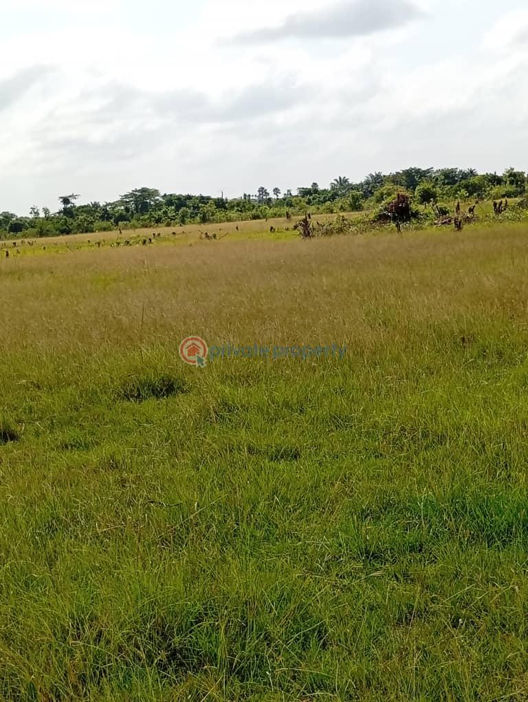 Commercial Land For Sale Kwaminga Amusement Park Yilo Krobo Eastern Region - 1