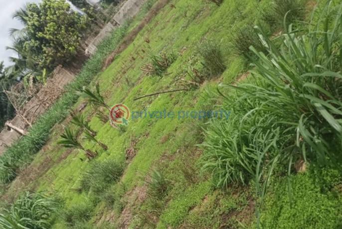 Land For Sale Ejisu, Kumasi Ghana Ejisu Ejisu-Juaben Municipal Ashanti - 1