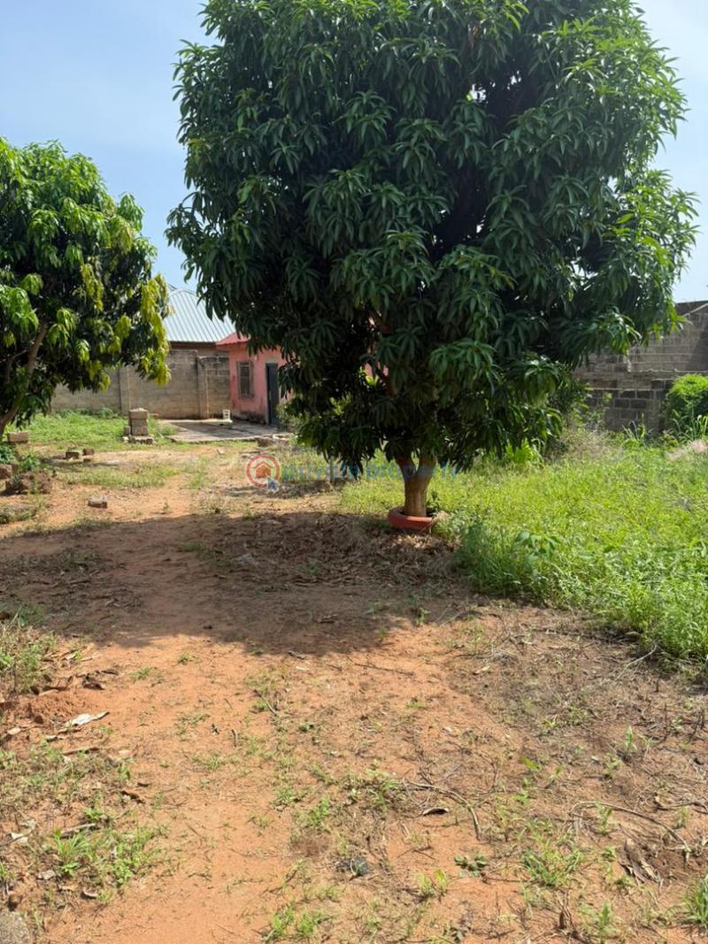 Land For Sale Kokrobite Kotobabi Accra - 4