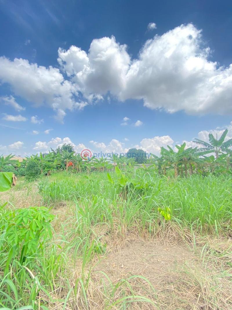 Land For Sale Tech Apemso Tech. Kumasi Metropolitan Ashanti - 4