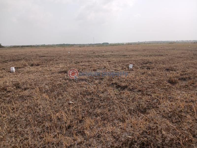 Land For Sale Tsopoli Police Barrier Tsopoli Ningo Prampram District Accra - 5