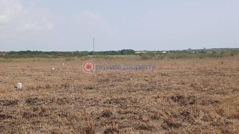 Land For Sale Central University Dawhenya Ningo Prampram District Accra - 1