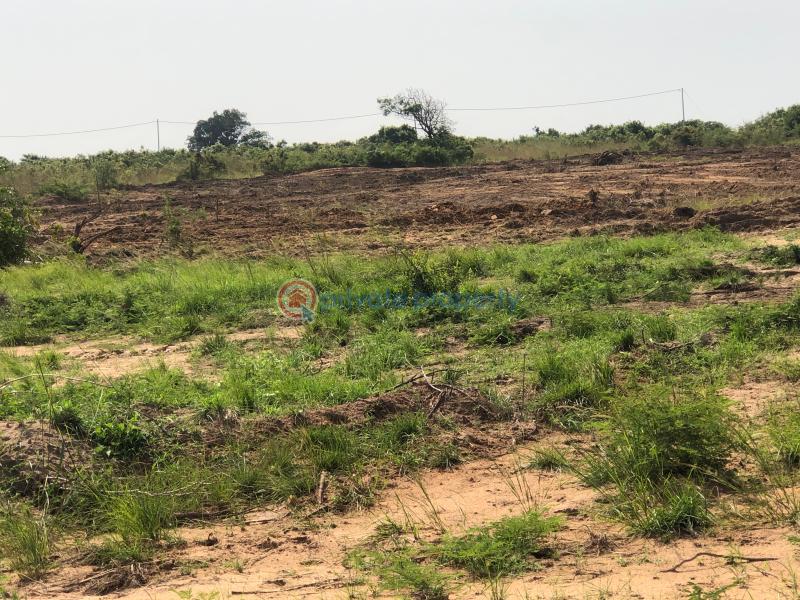Land For Sale Central University Dawhenya Ningo Prampram District Accra - 4