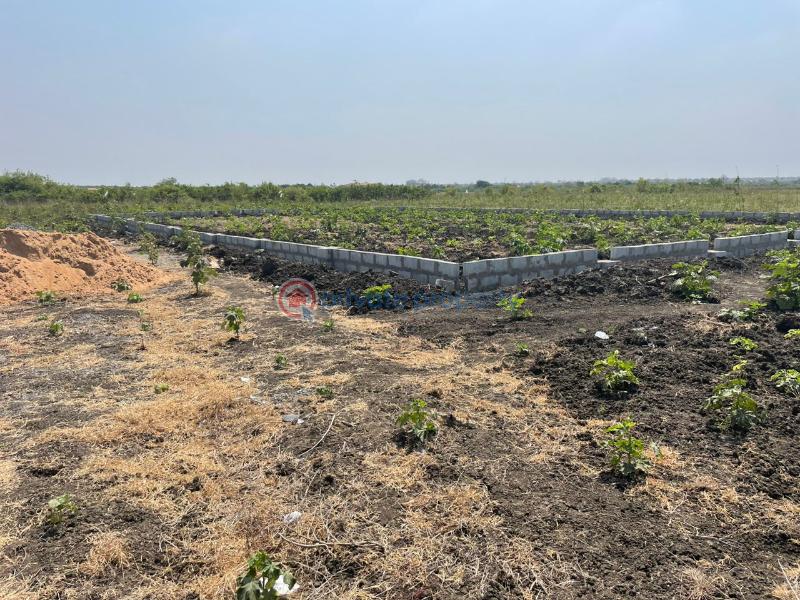 Land For Sale Tsopoli Ningo Prampram District Accra - 3