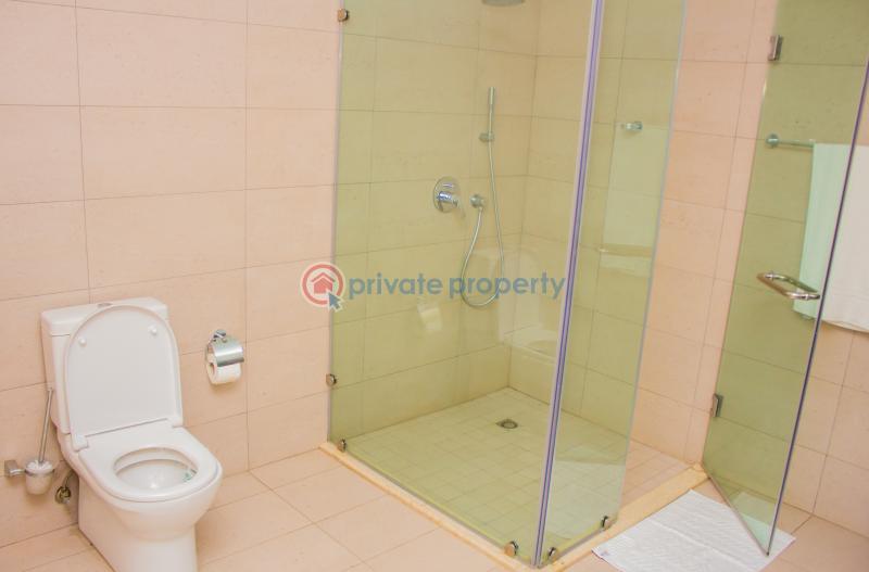 3 bedroom Apartment For Rent No 9.kwabena Duffour Road Airport Residential Area Airport Residential Area Accra - 12