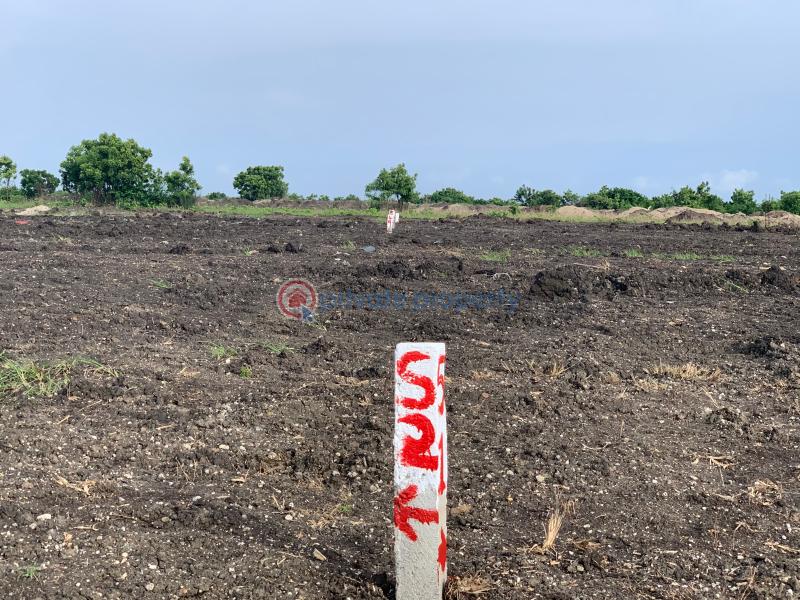 Land For Sale Dahwenya Tsopoli Ningo Prampram District Accra - 0