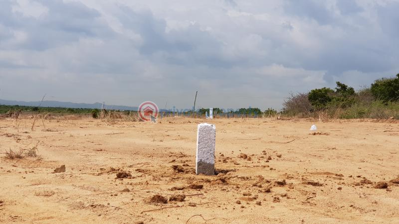 Land For Sale Tsopoli Ningo Prampram District Accra - 1