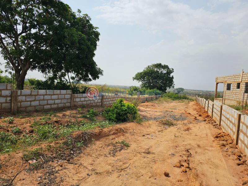 Land For Sale Tema Accra - 1