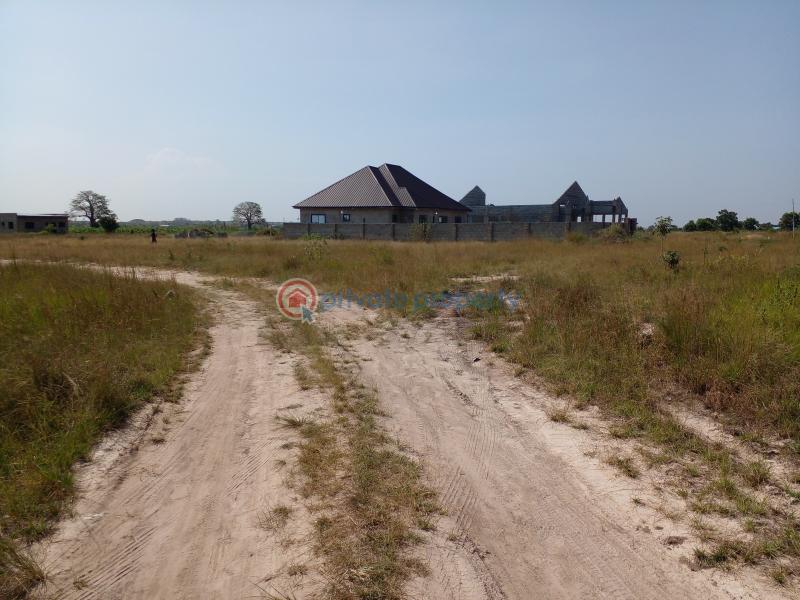 Land For Sale Tema Accra - 0