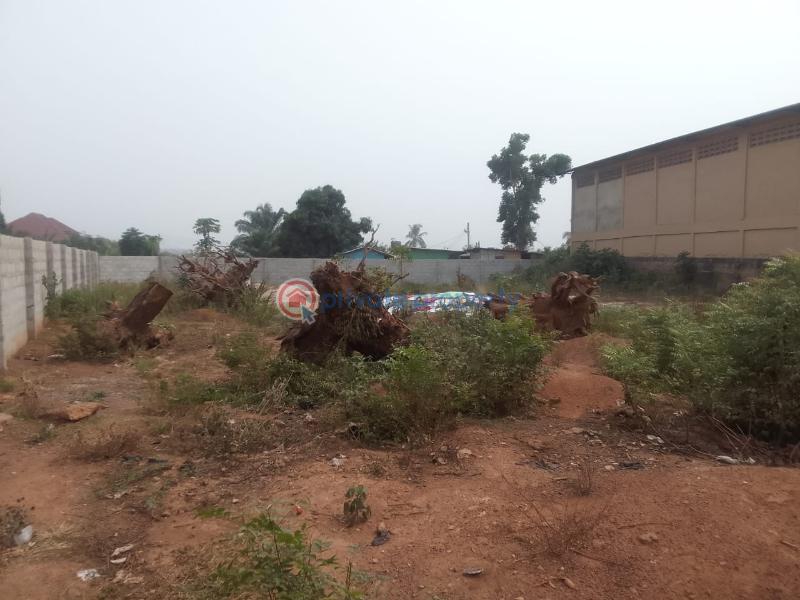 Land For Sale Abc Achimota Accra - 2
