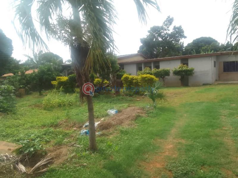 Land For Sale Achimota Accra - 3