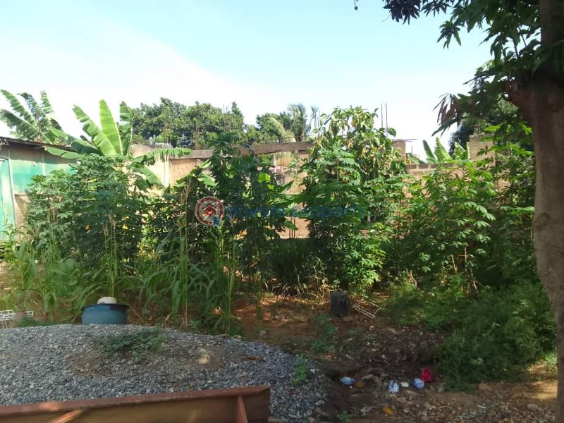 Land For Sale Achimota Accra - 2