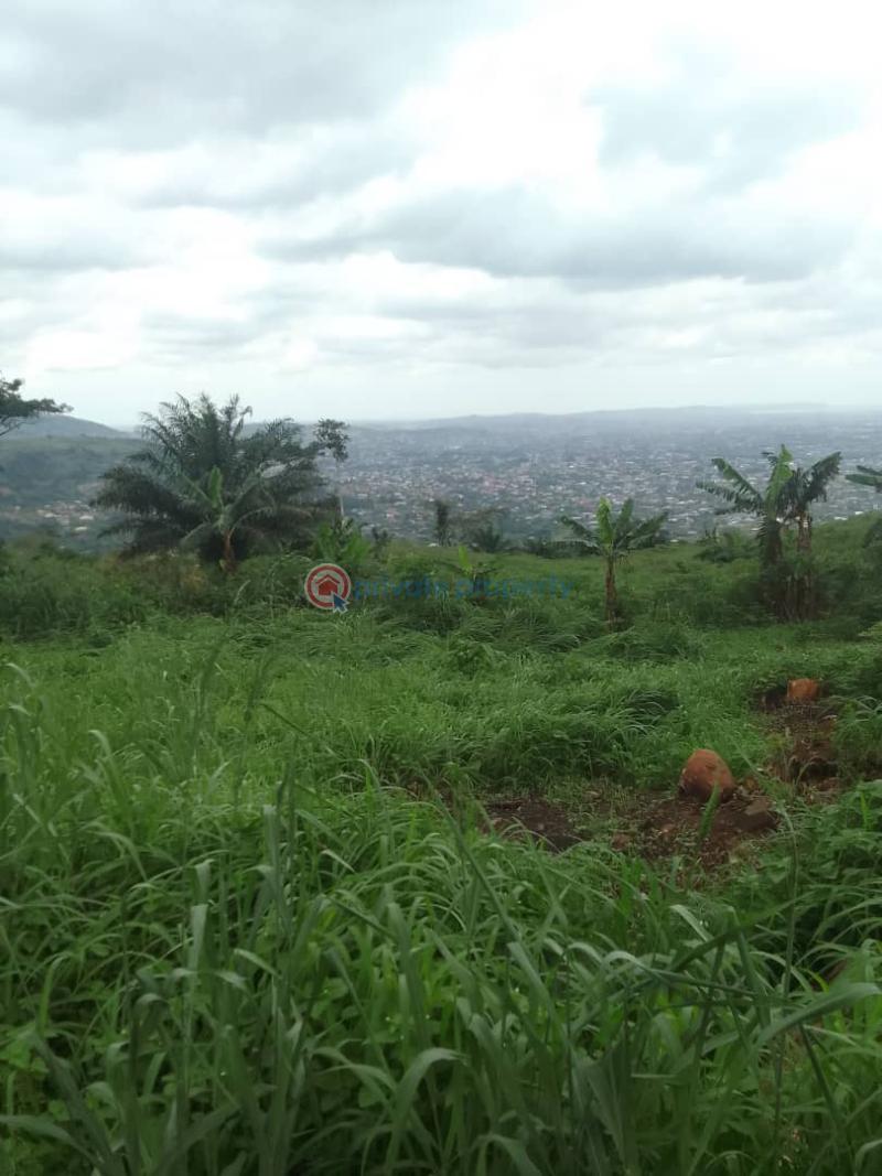 Land For Sale Achimota Accra - 1