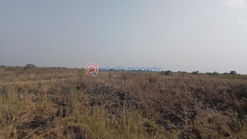 Land For Sale Tsopoli Ningo Prampram District Accra - 4